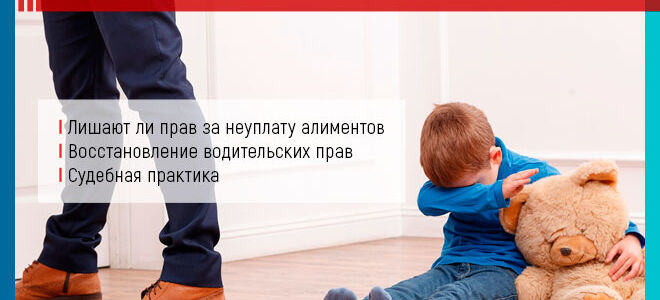 Лишение водительских прав за долги по алиментам