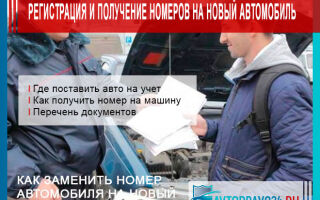 Регистрация и получение номеров на новый автомобиль в 2026 году